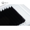 تصویر  پالت 20 ردیفه White وین لش (Winlash)